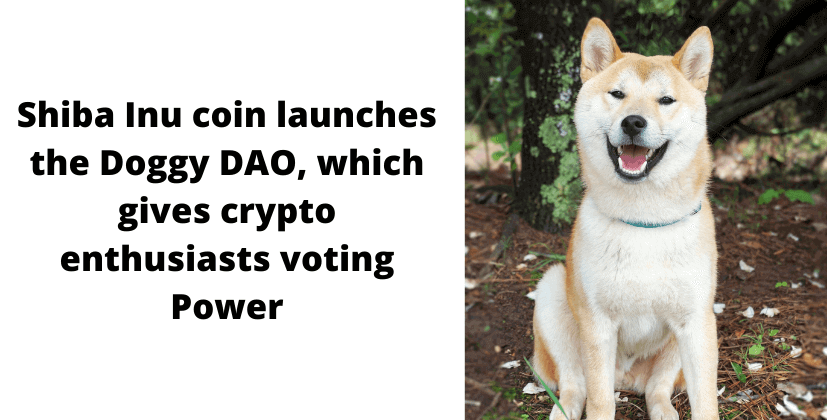 Shiba Inu coin launches the Doggy DAO, which gives crypto enthusiasts voting power