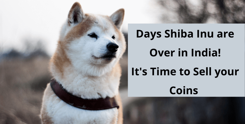 Days of Shiba Inu are over in India! It’s time to sell your coins